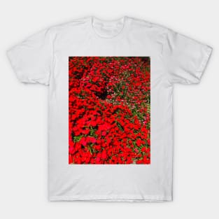 Dianthus Flower T-Shirt